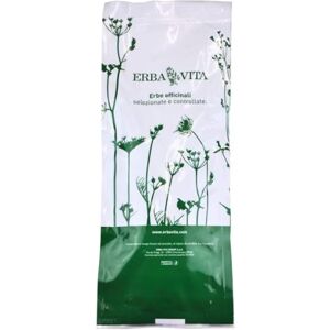 Erba Vita Zenzero Composto 100g Erbavita Image
