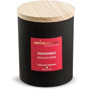 Nature Candle Candela profumata naturali Indomabile - Bocca di Leone 200 gr - collezione Leiè Image
