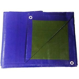 Telo Pe 4 X 6 Blue-Verde 200g/m2 Bertoni Image