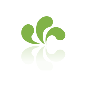 Epson C13T04B14N T04B1-XL   nero Originale Image