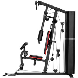 Fassi Sport Stazione Multifunzione Fassi POWER 350 Image