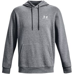 Under Armour Felpa Cappuccio Icon Grigio L Image