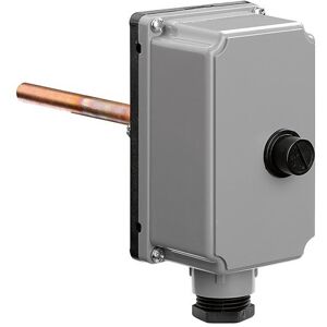 CALEFFI Termostato ad immersione 624000 Grigio Image
