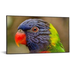 DynaScan DS752LR4 visualizzatore di messaggi 190,5 cm (75") LCD 4K Ultra HD Nero Android 7.1 (DS752LR4) Image
