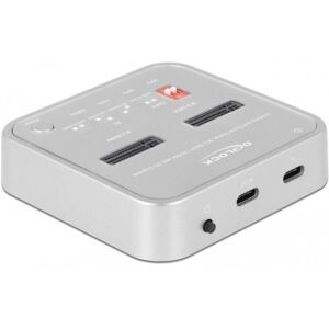 DeLOCK 64138 docking station per unità di archiviazione Argento (64138) Image