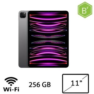 REGLOO IPAD PRO 11 (4AGEN) WI-FI 256GB SG/2Y - B (008452PCR-EU) Image