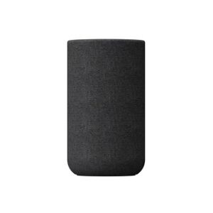 Speaker posteriore wireless con batteria integrata (Sony SARS5.CEL) Image