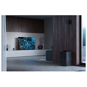 Sony 55  OLED Tuner and 3yrs PrimeSupport (FWD-55A80L) Image