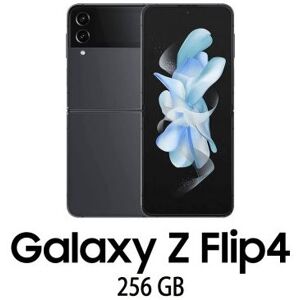 REGLOO SAMSUNG GALAXY Z FLIP 4 5G 256GB GRAPHITE/2Y (008977PCR-EU) Image