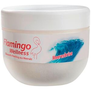 Flamingo Wellness Douche scrub zeezout Zeebries, blik 350 g Image