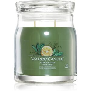 Yankee Candle Sage & Citrus geurkaars Signature Signature 368 g Image