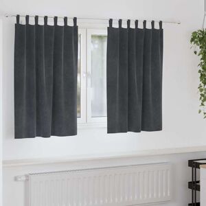 vidaXL Gordijnen met gordijnen 2 pcs Lichtgrijs 140 x 140 cm Fluweel Image