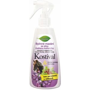 Bione Maść Ziołowa Z Żywokostem I Kasztanowcem, 260 Ml Image