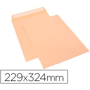 Envelope Sam Bolsa Celulosa Chamoix 90g Tira de Silicone 229X324mm Tira Silicone (250 Unidades) Image