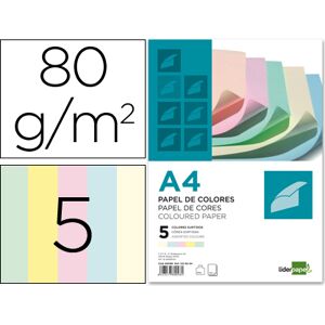 LIDERPAPEL Papel de Cor Din A4 80 Gr (500 Folhas), 100 Folhas Por Cores Sortidas Image
