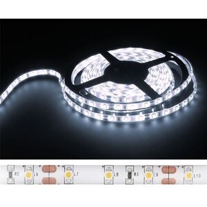 Fita 300 LEDs SMD2835 IP20 Branco 4000K 12V - 5 mts Image