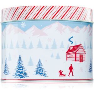 DW Home Scene & Stripes Peppermint Bark vela perfumada 833 g. Scene & Stripes Peppermint Bark Image