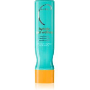 Malibu C Color Wellness condicionador hidratante para cabelo pintado 266 ml. Color Wellness Image