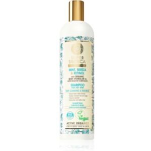 Natura Siberica Mint, Bereza & Retinol champô para cabelos oleosos 400 ml. Mint, Bereza & Retinol Image