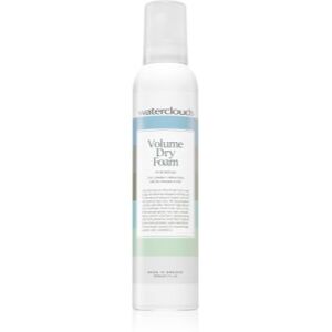 Waterclouds Volume Dry Foam champô seco espumoso para dar volume 250 ml. Volume Dry Foam Image