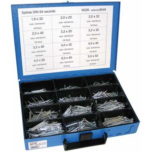 Oe Opel Conjunto de pinos DIN94 galvanizados, 12 compartimentos, 1100 peças DRESSELHAUS 4499/000/06 8549 Image