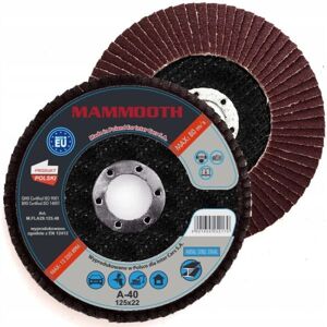 Escova de arame para limpeza MAMMOOTH M.FLA29.125.40/B Image