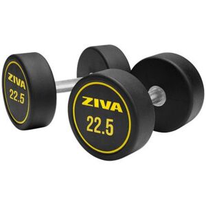 Halteres redondos borracha  Performance (par) - 22.5 (ZFT-DBRB-4987-BKYL ZIVA-0094) Image