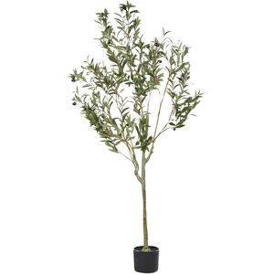 The Seasonal Aisle 153cm Faux Olive Tree Tree in Plastic / Acrylic Planter Green 153cm H X 63cm W X 63cm D Image