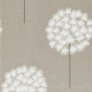 Harlequin Amity 10.05m x 52cm Wallpaper Roll Slate/Putty 1,005cm L X 52cm W Image