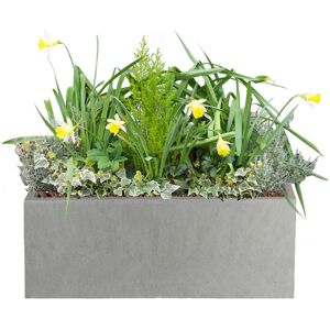HORTICO Window Flower Box Planter, Frostproof Outdoor Plant Pot, Narrow Garden Planter with Drainage Holes, Concrete Effect Windowsill Planter Grey 17.5cm H x 40cm W x 17cm D Image