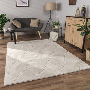 Fairmont Park Rug in living room, bedroom, short pile, Scandi diamond pattern, plain 3D gray Cream Rectangular 120 x 160cm Image