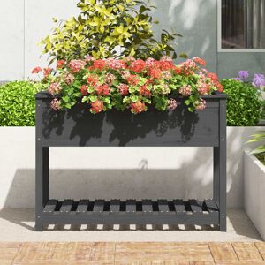 Brayden Studio Planter With Shelf Grey 82.5X34.5X81 Cm Solid Wood Pine Grey 81cm H x 111.5cm W x 54cm D Image
