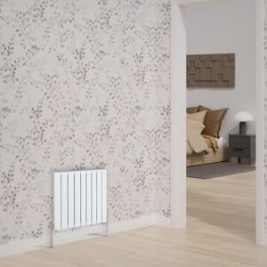 Belfry Heating Adah Horizontal Single Flat Panel Radiator Black 600mm H x 612mm W Image