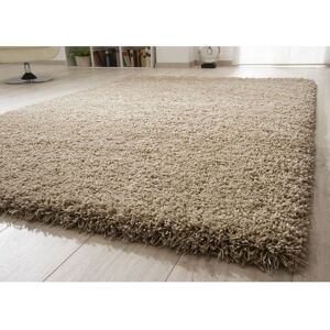 Union Rustic Kenyon Beige Rug Rectangle 160 x 230cm Image