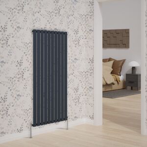 Belfry Heating Briscoe Vertical Single Flat Panel Radiator Anthracite 160cm H x 68cm W x 5.2cm D Image