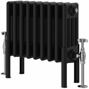 Symple Stuff Altynay Horizontal Traditional 4 Column Radiator Black 300mm H x 425mm W x 140mm D Image