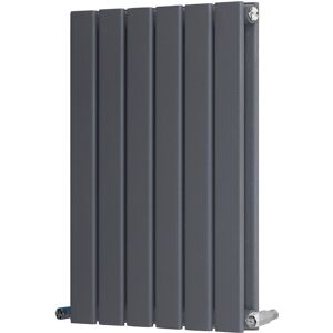 Belfry Heating Shonna Vertical Double Flat Panel Radiator Anthracite 60cm H x 40.8cm W Image