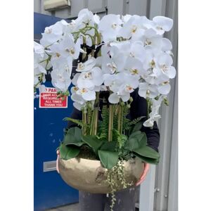 The Seasonal Aisle Cerise Orchid Arrangement in Vase White 70cm H X 40cm W X 40cm D Image