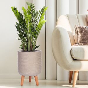 HORTICO Concrete Effect Cylinder Round Planter on Hardwood Legs, Round Indoor Plant Pot Stand for Indoor Plants, Indoor Flower Pot with Plaited Pattern Beige 35cm H x 24cm W x 24cm D Image