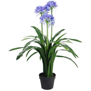 Leaf Floor Flowering Plant in Planter Green 90cm H X 60cm W X 60cm D Image