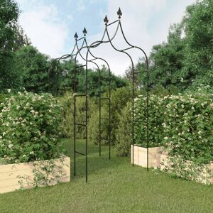 Astoria Grand Prasad Steel Arch Black 260cm H X 120cm W X 38cm D Image