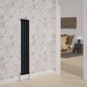 Belfry Heating Briscoe Vertical Single Flat Panel Radiator Black 160cm H x 27.2cm W x 5.2cm D Image
