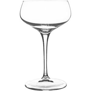Bormioli Rocco Bartender Novecento Cocktail Glasses - 250ml Clear 12 Image