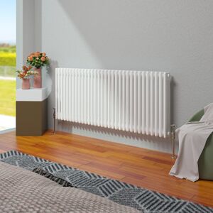 Belfry Heating Vallie Horizontal Traditional Column Cast Iron Style Designer Radiator White 60cm H x 146cm W Image
