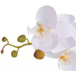 17 Stories Floor Flowering Orchid Plant in Pot White 75cm Image