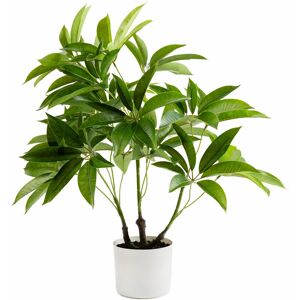 Latitude Run 60cm Faux Real Touch Schefflera / Umbrella Plant in White Pot Green 60cm H X 30cm W X 30cm D Image