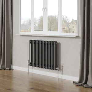 Belfry Heating Tryphosa Traditional 2 Column Horizontal Designer Radiator Anthracite 60cm H x 83cm W Image