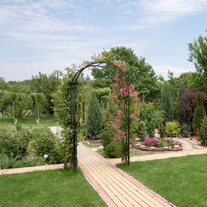 Marlow Home Co. Afkar Arch Black 218cm H X 121cm W X 44cm D Image