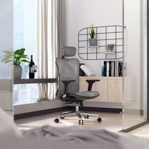 SIHOO Ergonomic Office Chair, Mesh Desk Chair with Adjustable Armrests Grey 123cm H X 70cm W X 70cm D Image