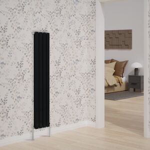 NRG Vertical Double Flat Panel Radiators Black 1600cm H x 272cm W x 52cm D Image
